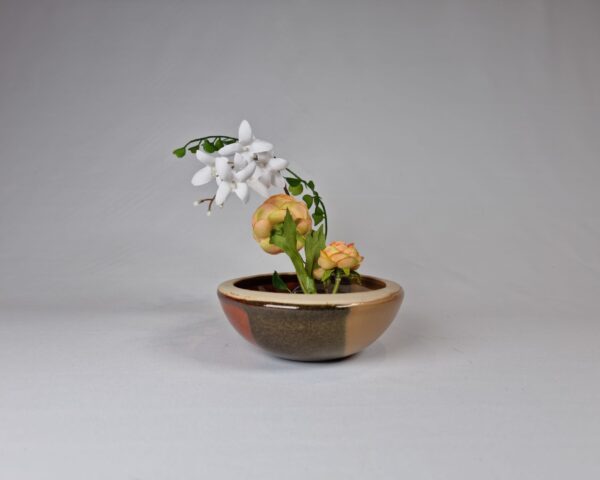 Sakura Serenity - Image 6