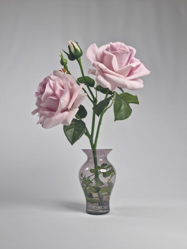 Blush Rose Elegance