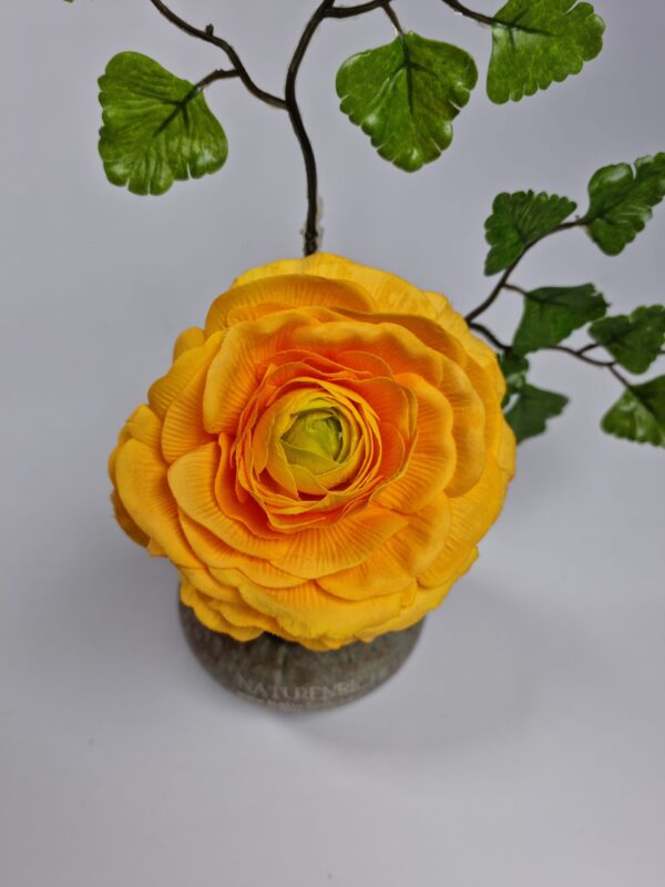 Sunlit Harmony - Image 7