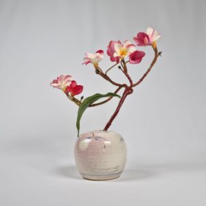 Blossom Tranquillity