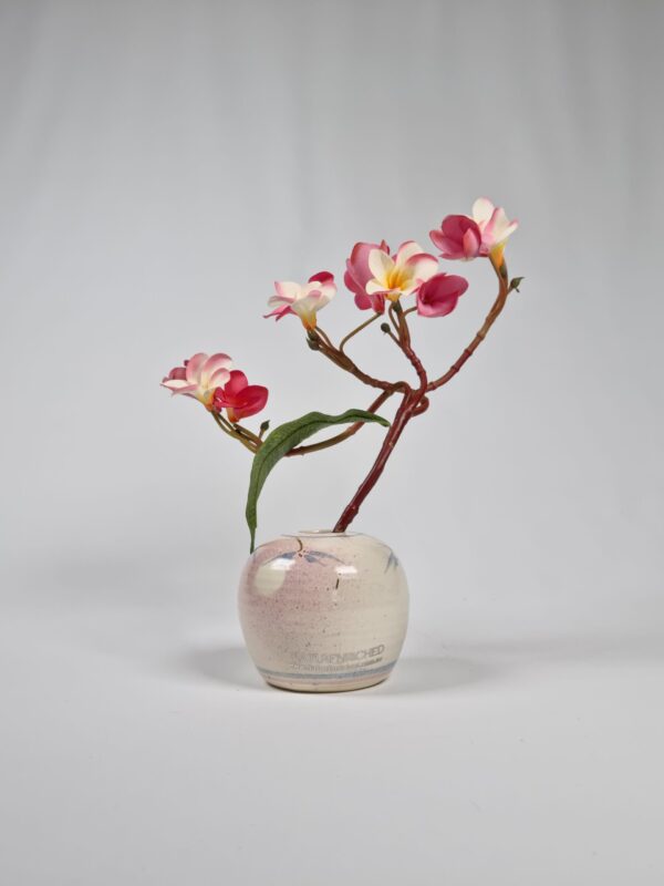 Blossom Tranquillity