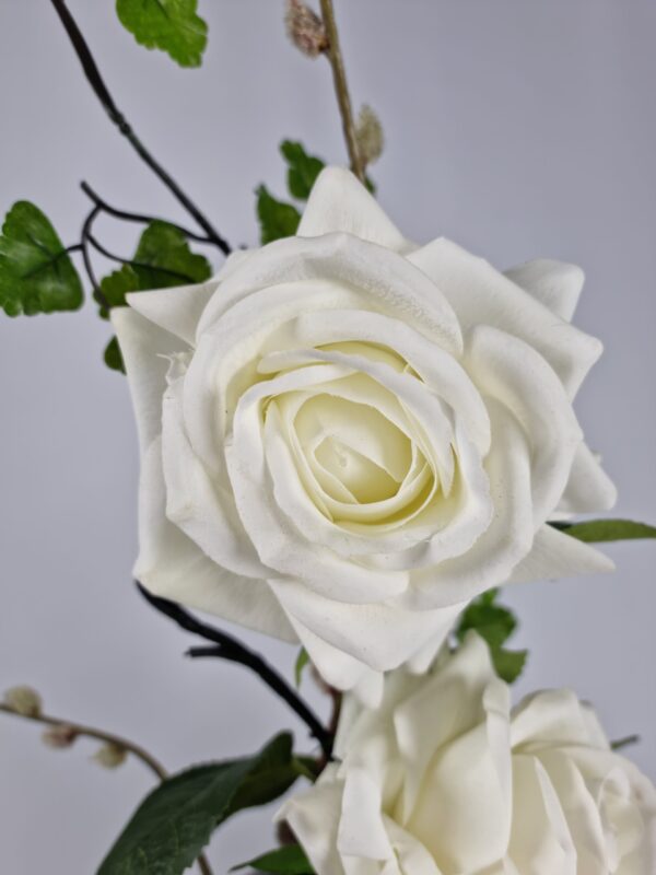 Ivory Grace - Image 2