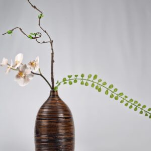 Orchid Harmony