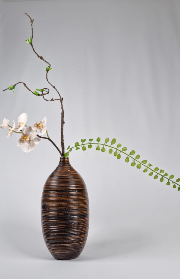 Orchid Harmony