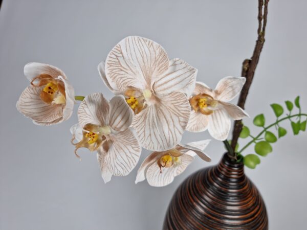 Orchid Harmony - Image 3
