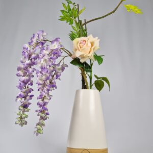 Wisteria Grace