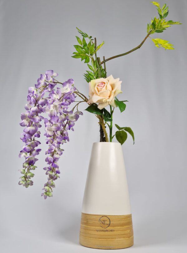 Wisteria Grace